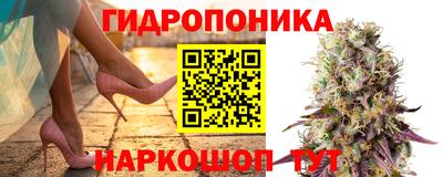 крисы Изобильный