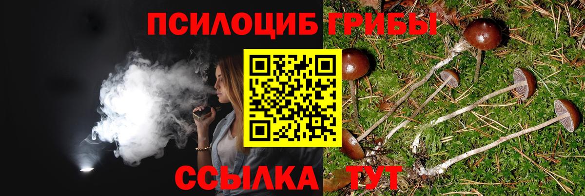 Лосино-Петровский  Галлюциногенные грибы GOLDEN TEACHER  Вход с VPN 