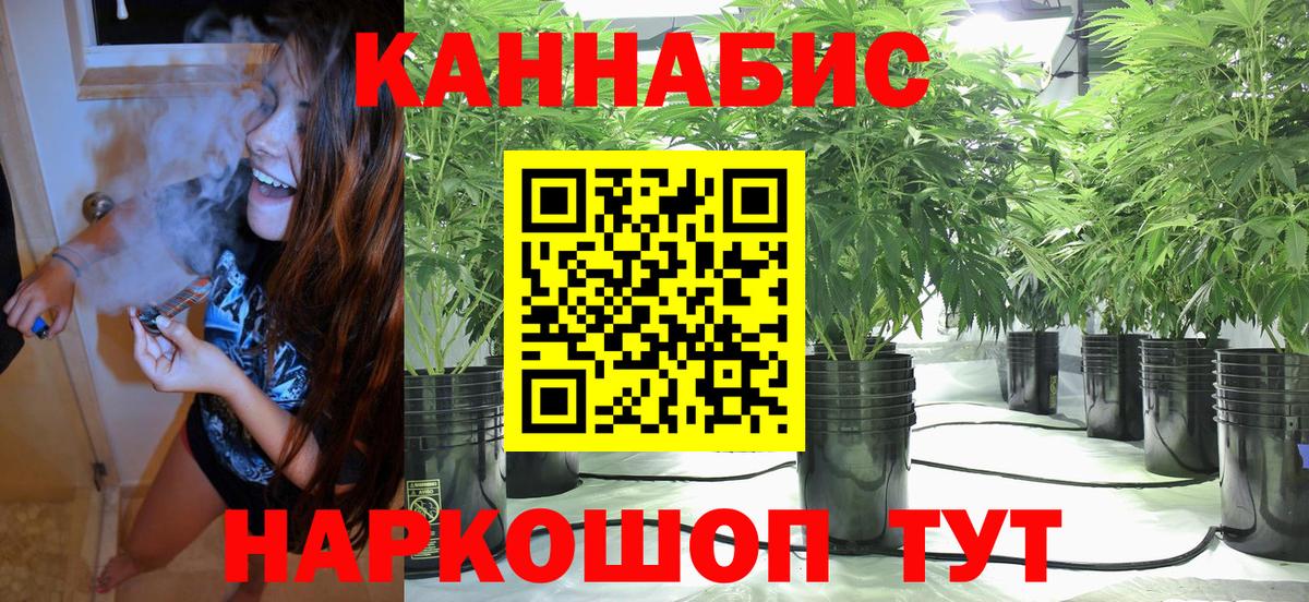 Бошки марихуана Amnesia Лосино-Петровский